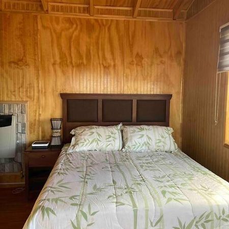 Apartmán Depto Huerto 23 Puerto Natales Exteriér fotografie